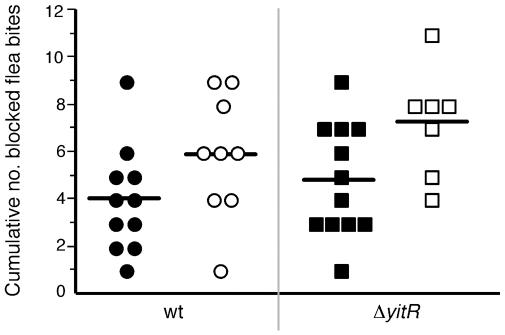 https://cdn.ncbi.nlm.nih.gov/pmc/blobs/4c75/2829055/bd266010f2ac/ppat.1000783.g005.jpg
