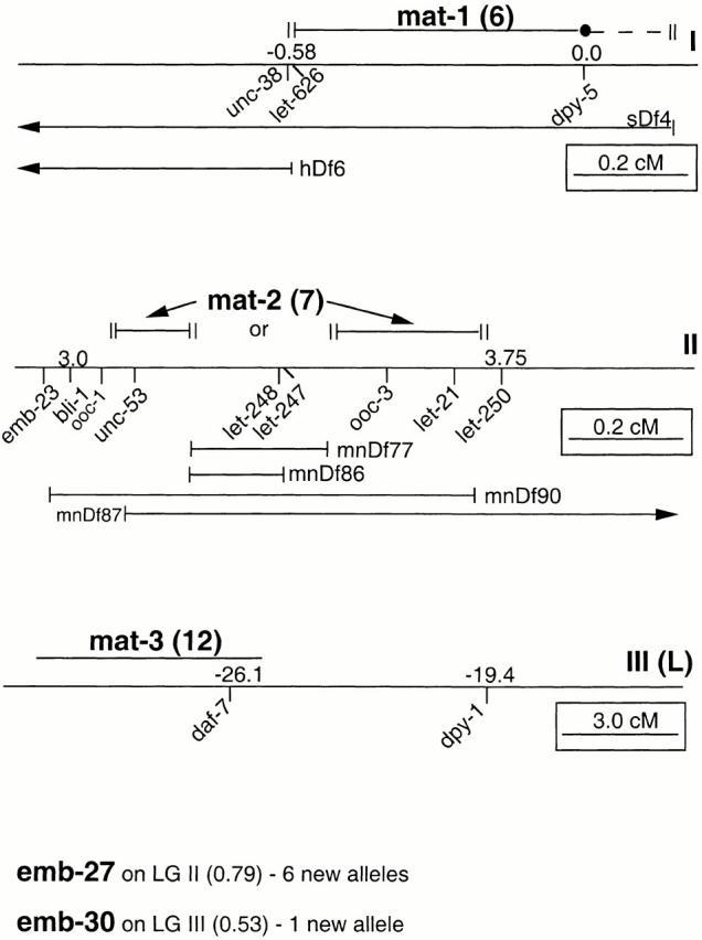 https://cdn.ncbi.nlm.nih.gov/pmc/blobs/4c79/2150685/5966d8ee0d1b/JCB0008138.f2.jpg