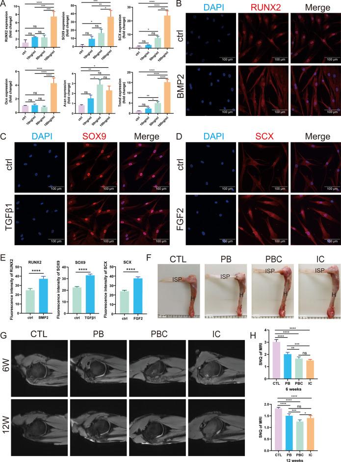 https://cdn.ncbi.nlm.nih.gov/pmc/blobs/4c7a/10789257/c74ed3fdbd9e/am3c14959_0002.jpg