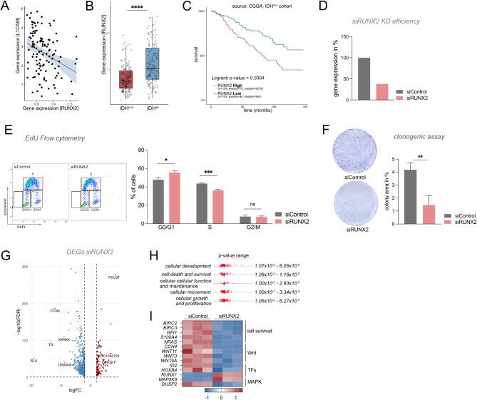 https://cdn.ncbi.nlm.nih.gov/pmc/blobs/4c7a/12042597/08050d853749/40478_2025_2006_Fig4_HTML.jpg