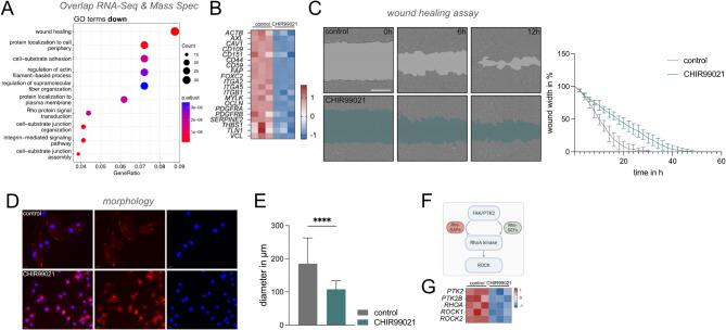 https://cdn.ncbi.nlm.nih.gov/pmc/blobs/4c7a/12042597/146a76122bfa/40478_2025_2006_Fig2_HTML.jpg