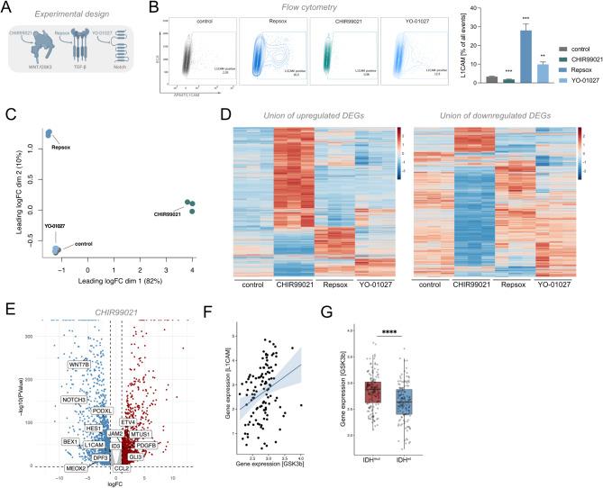 https://cdn.ncbi.nlm.nih.gov/pmc/blobs/4c7a/12042597/c0b60ba807ed/40478_2025_2006_Fig1_HTML.jpg