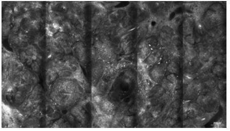 https://cdn.ncbi.nlm.nih.gov/pmc/blobs/4c7a/8480465/bf4f274c8978/dp1104a127g05.jpg