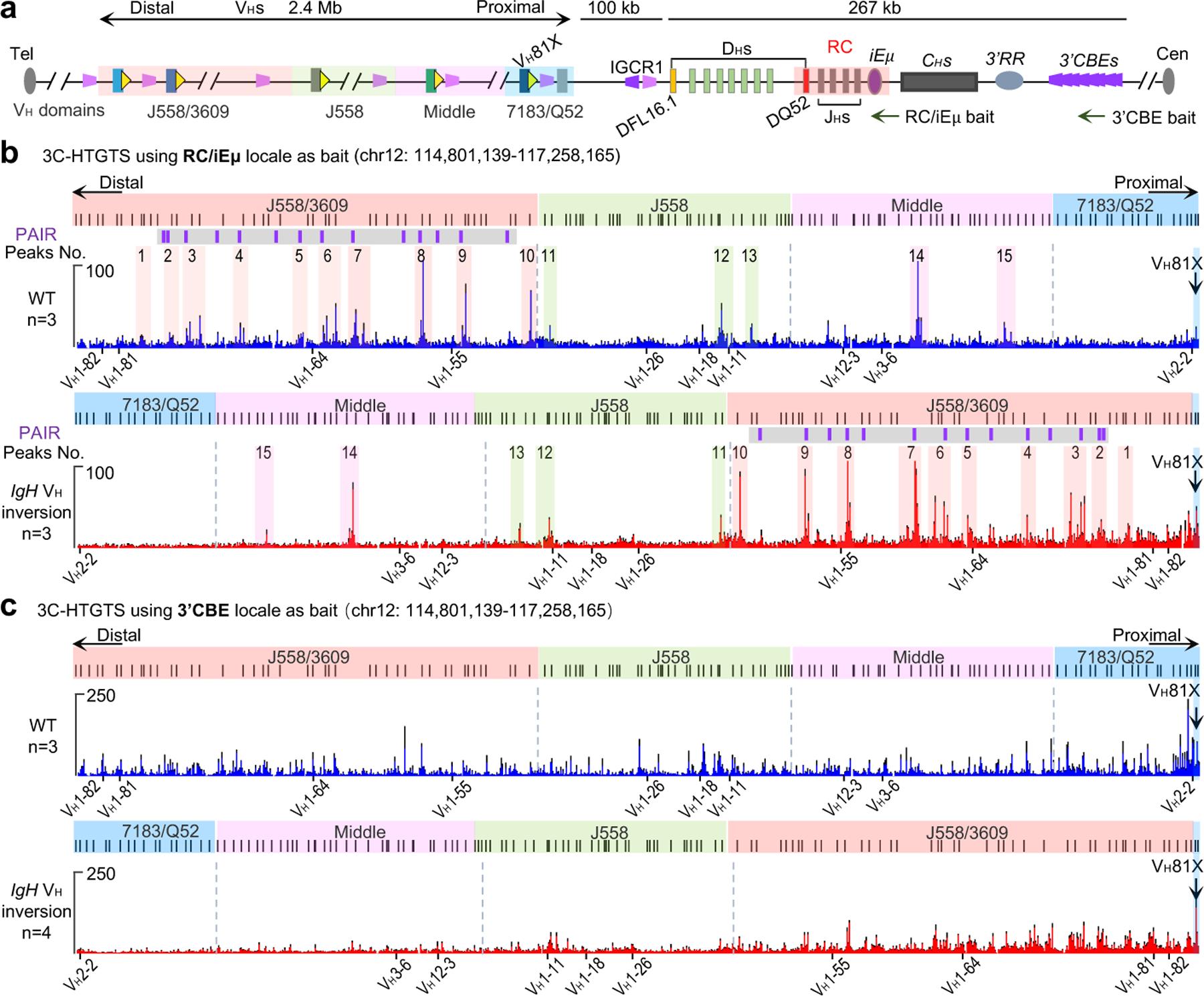 https://cdn.ncbi.nlm.nih.gov/pmc/blobs/4c7b/9037962/67417826f367/nihms-1650045-f0003.jpg
