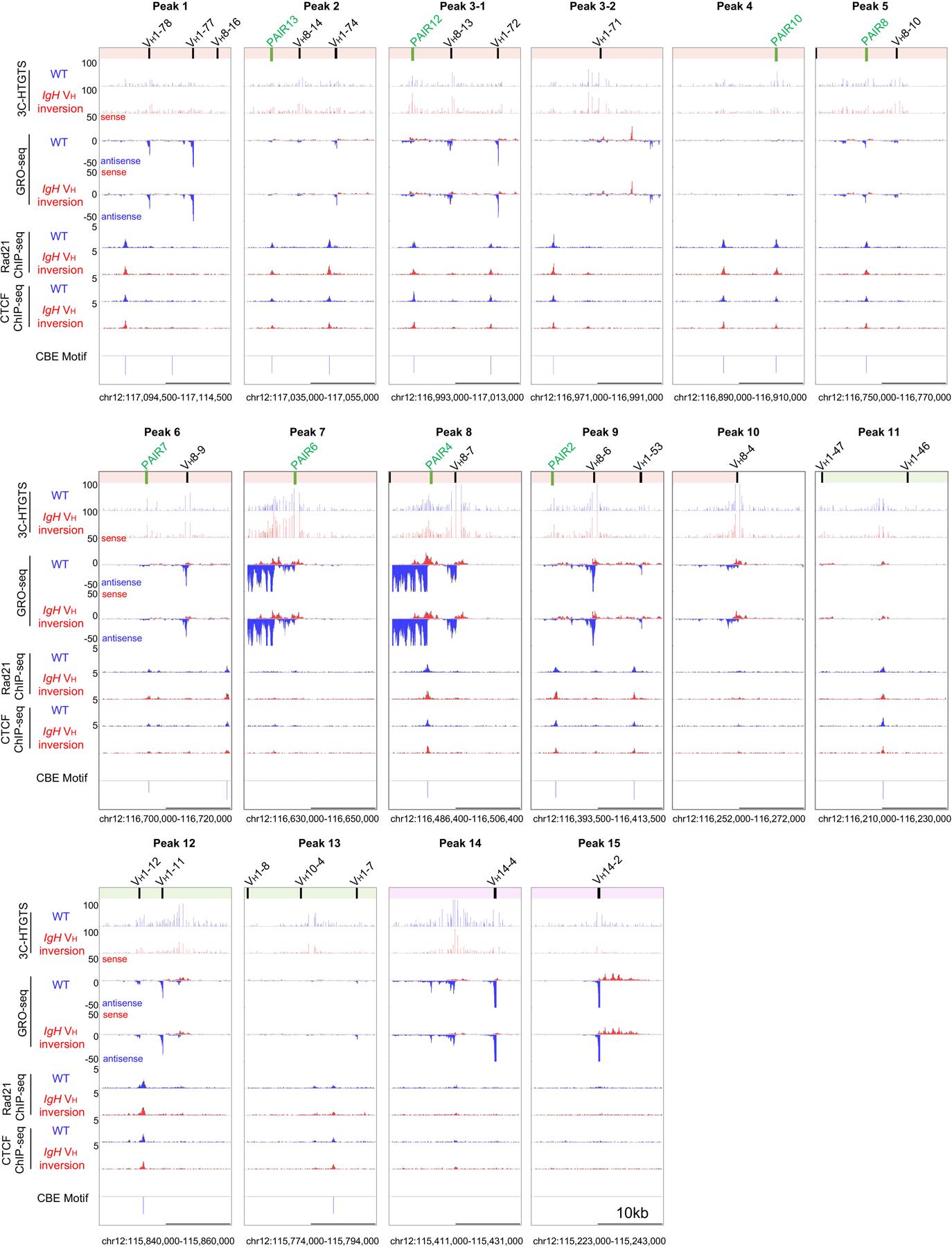 https://cdn.ncbi.nlm.nih.gov/pmc/blobs/4c7b/9037962/6c41b6202ad1/nihms-1650045-f0007.jpg