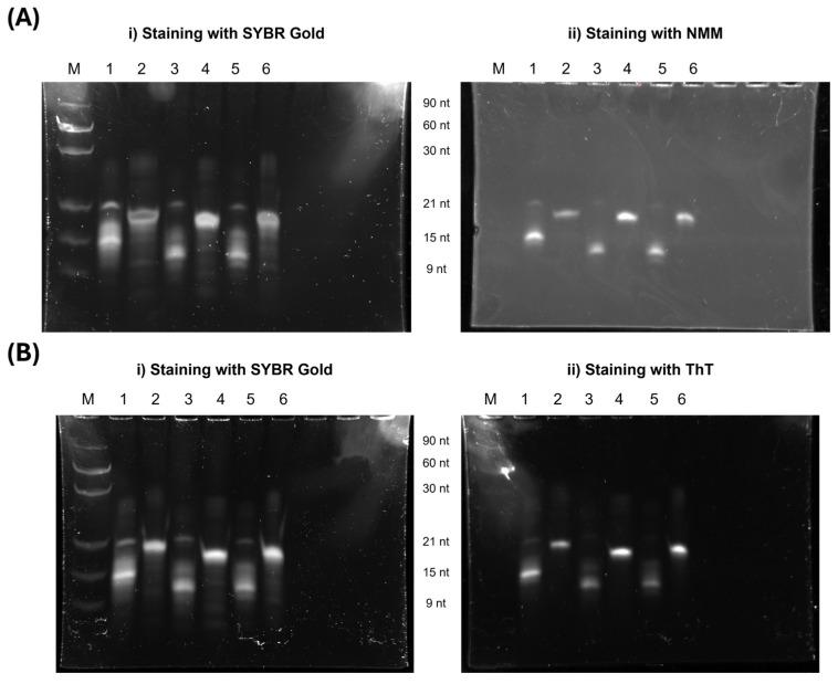 https://cdn.ncbi.nlm.nih.gov/pmc/blobs/4c7c/12029569/0412fd5d532f/molecules-30-01673-g003.jpg