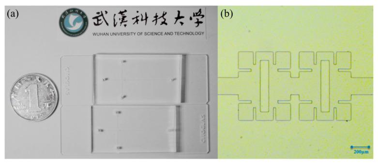 https://cdn.ncbi.nlm.nih.gov/pmc/blobs/4c7d/10534435/342935b25f1d/micromachines-14-01750-g003.jpg