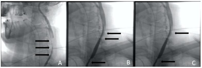 https://cdn.ncbi.nlm.nih.gov/pmc/blobs/4c7d/11084725/c88f834db6f5/jcm-13-02716-g005.jpg