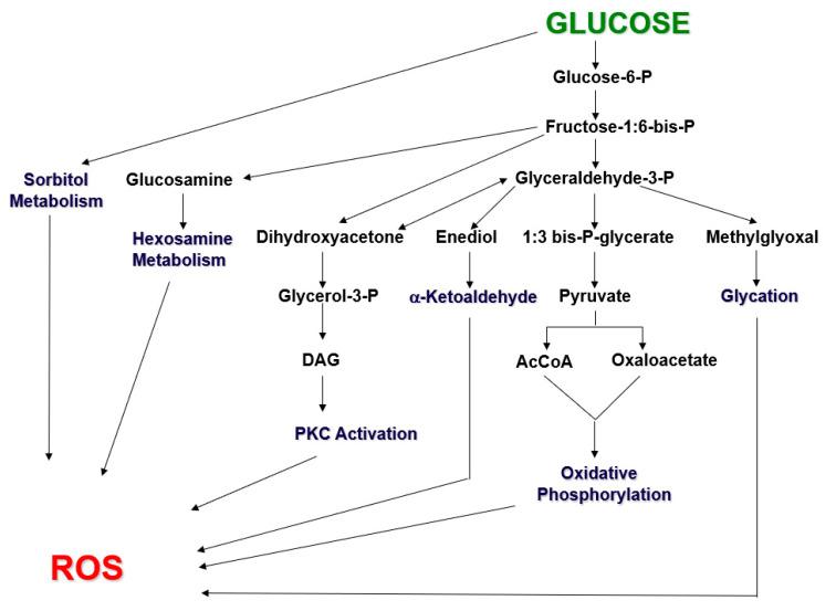 https://cdn.ncbi.nlm.nih.gov/pmc/blobs/4c7d/9961396/6406c4d493c9/ijms-24-03082-g001.jpg