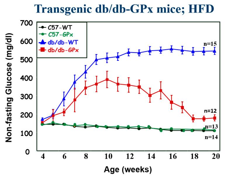 https://cdn.ncbi.nlm.nih.gov/pmc/blobs/4c7d/9961396/6fc42aa46f06/ijms-24-03082-g003.jpg
