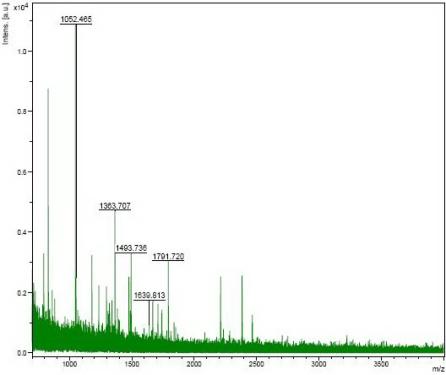 https://cdn.ncbi.nlm.nih.gov/pmc/blobs/4c7e/2871124/4c662ec91640/ijms-11-01423f2.jpg