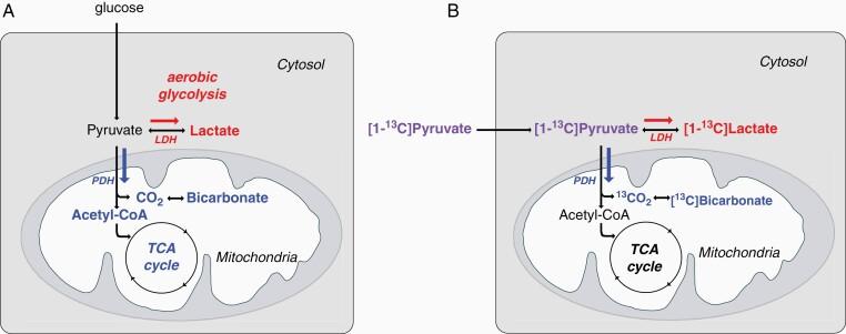 https://cdn.ncbi.nlm.nih.gov/pmc/blobs/4c7f/8331053/96726420ba1d/vdab092f0001.jpg