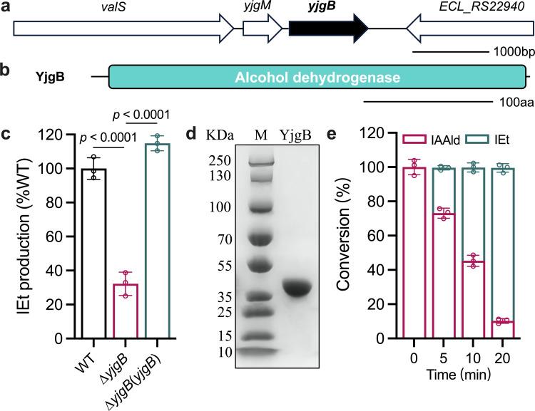 https://cdn.ncbi.nlm.nih.gov/pmc/blobs/4c83/12175533/3c4ff6e57bee/aem.00510-25.f004.jpg