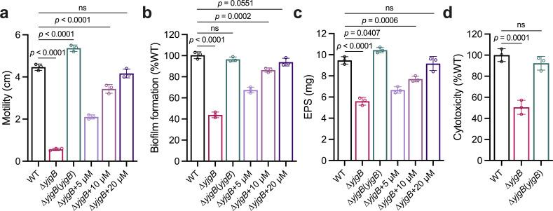 https://cdn.ncbi.nlm.nih.gov/pmc/blobs/4c83/12175533/5229270d0072/aem.00510-25.f005.jpg