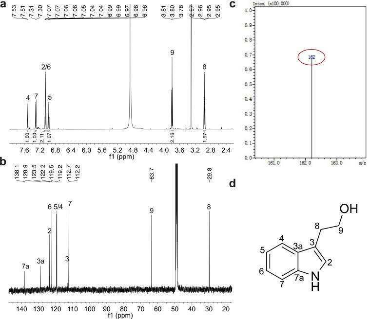 https://cdn.ncbi.nlm.nih.gov/pmc/blobs/4c83/12175533/ac9c559a242f/aem.00510-25.f002.jpg