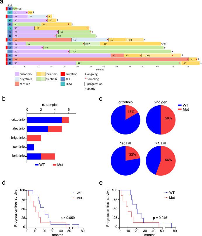 https://cdn.ncbi.nlm.nih.gov/pmc/blobs/4c88/10918084/6a713f2d3189/41698_2024_498_Fig1_HTML.jpg