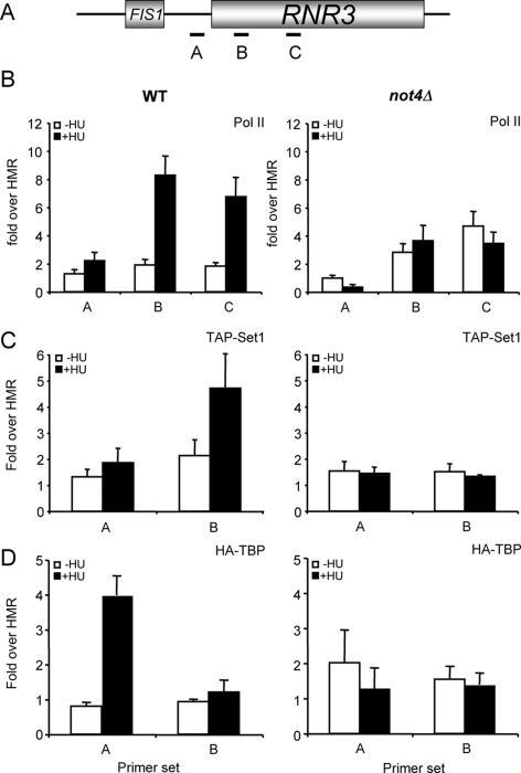 https://cdn.ncbi.nlm.nih.gov/pmc/blobs/4c88/1278945/8c6f67770e36/gki938f5.jpg