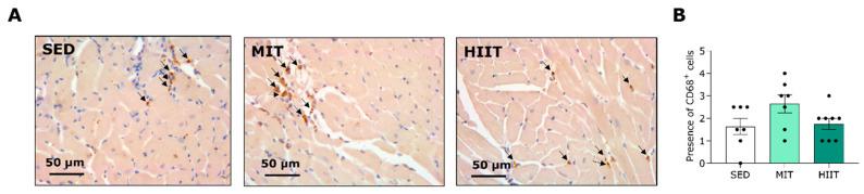 https://cdn.ncbi.nlm.nih.gov/pmc/blobs/4c89/10856993/3f146e40e38e/nutrients-16-00431-g006a.jpg