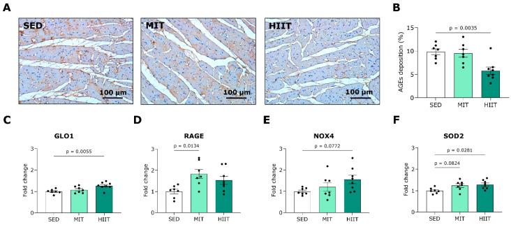 https://cdn.ncbi.nlm.nih.gov/pmc/blobs/4c89/10856993/b4875084c496/nutrients-16-00431-g005.jpg
