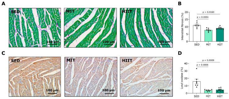 https://cdn.ncbi.nlm.nih.gov/pmc/blobs/4c89/10856993/f67087331e64/nutrients-16-00431-g004.jpg
