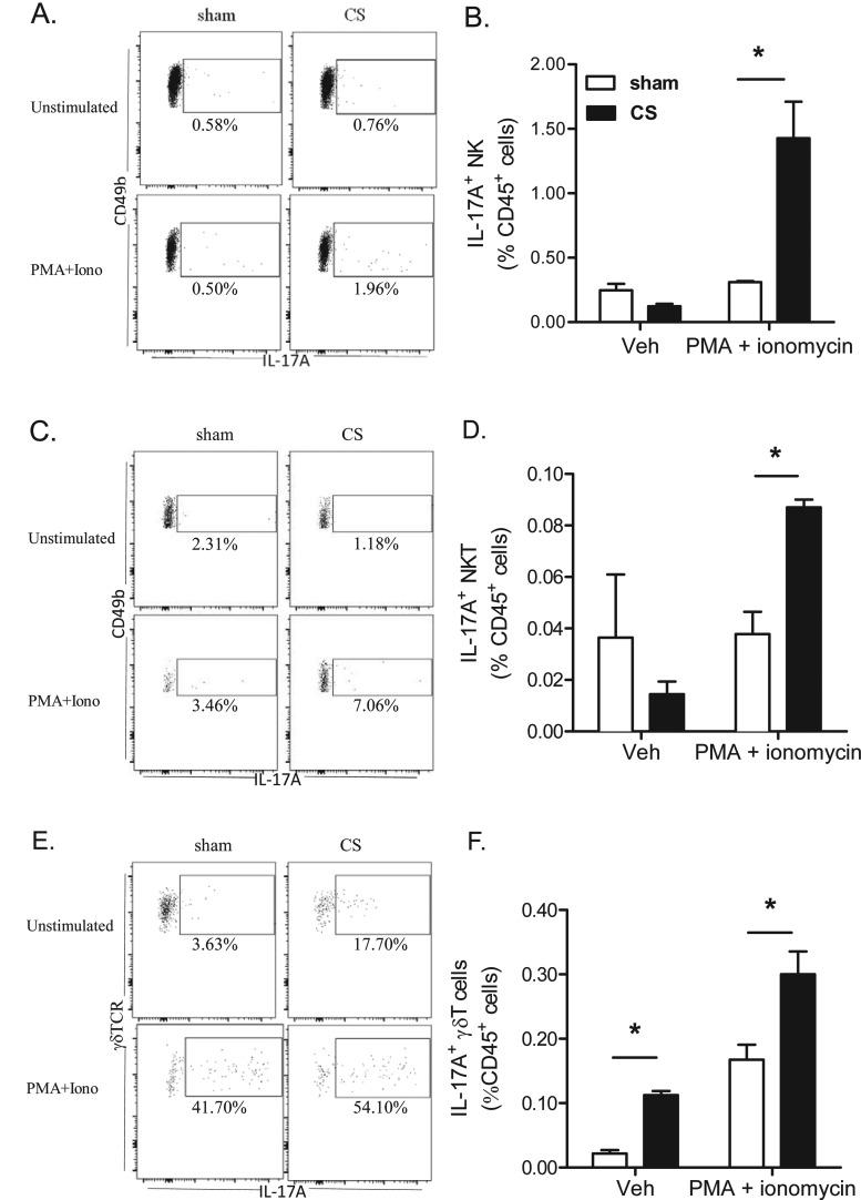 https://cdn.ncbi.nlm.nih.gov/pmc/blobs/4c8a/4613531/5c9b1db7047d/cs1290785fig8.jpg