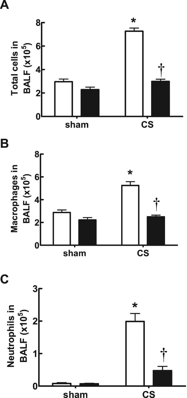 https://cdn.ncbi.nlm.nih.gov/pmc/blobs/4c8a/4613531/9f37b1432653/cs1290785fig3.jpg