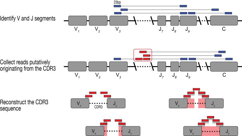 https://cdn.ncbi.nlm.nih.gov/pmc/blobs/4c8a/5766189/3c1a47ab53ea/gkx615fig1.jpg