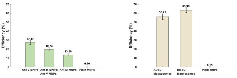 https://cdn.ncbi.nlm.nih.gov/pmc/blobs/4c8b/12188535/ef6ea928d21e/ntnov09p0171g006.jpg
