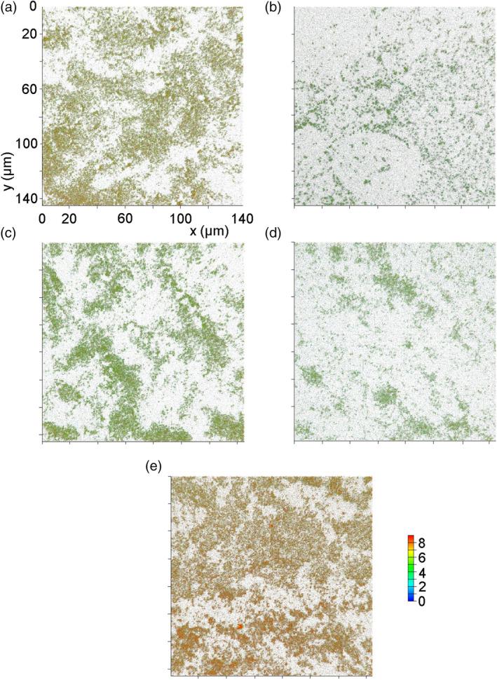 https://cdn.ncbi.nlm.nih.gov/pmc/blobs/4c8b/7317525/6b00bcbc4e32/CMI-22-e13199-g003.jpg