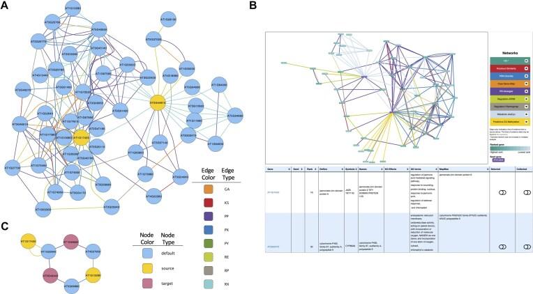 https://cdn.ncbi.nlm.nih.gov/pmc/blobs/4c8c/12020474/8519571b079d/giaf028fig7.jpg