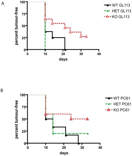 https://cdn.ncbi.nlm.nih.gov/pmc/blobs/4c8e/3323626/088c029965ea/pone.0035005.g005.jpg