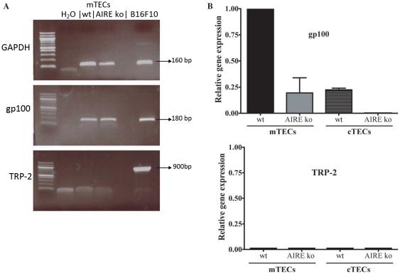 https://cdn.ncbi.nlm.nih.gov/pmc/blobs/4c8e/3323626/965ce8f93014/pone.0035005.g008.jpg