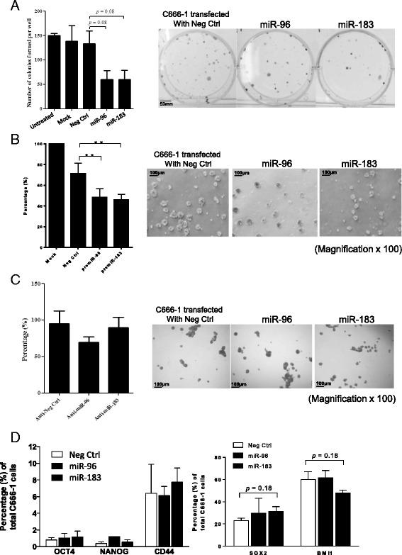 https://cdn.ncbi.nlm.nih.gov/pmc/blobs/4c8e/4950376/0949f1adc627/12885_2016_2525_Fig2_HTML.jpg