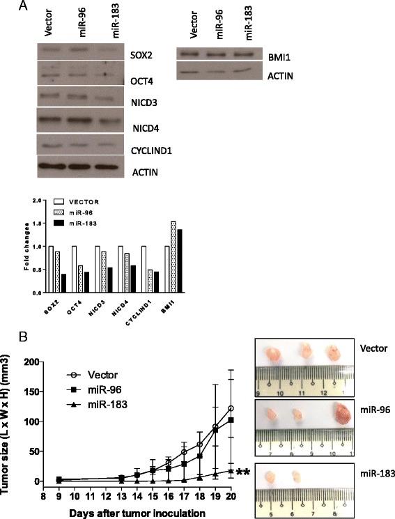 https://cdn.ncbi.nlm.nih.gov/pmc/blobs/4c8e/4950376/7d92980000b8/12885_2016_2525_Fig4_HTML.jpg