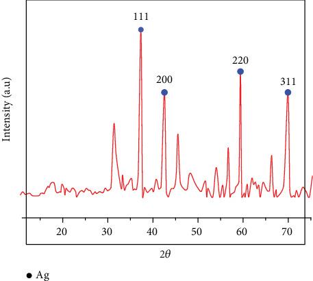 https://cdn.ncbi.nlm.nih.gov/pmc/blobs/4c90/12081149/5b9ca9c1ea75/IJMICRO2025-2072594.009.jpg