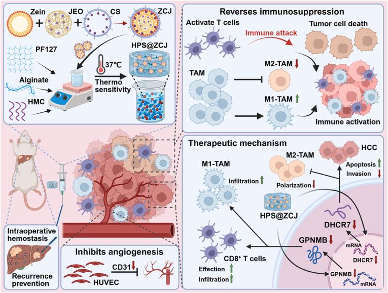 https://cdn.ncbi.nlm.nih.gov/pmc/blobs/4c90/12390958/7186adcbea43/gr1.jpg