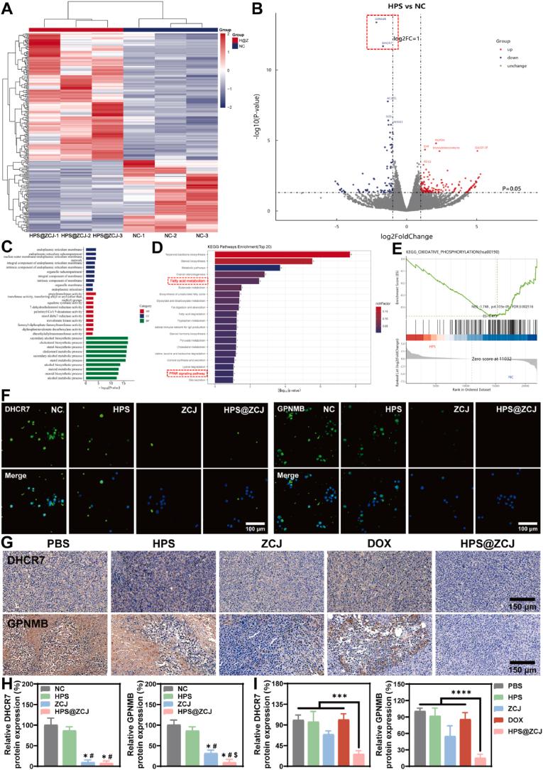 https://cdn.ncbi.nlm.nih.gov/pmc/blobs/4c90/12390958/87b2a7116d09/gr8.jpg