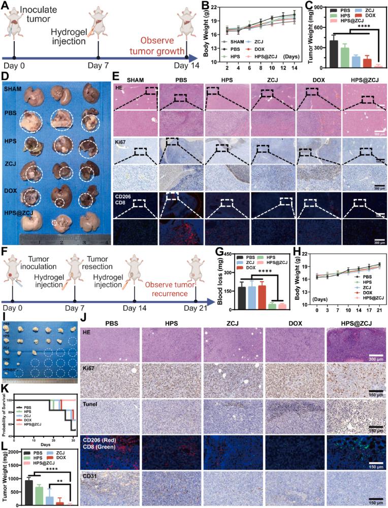 https://cdn.ncbi.nlm.nih.gov/pmc/blobs/4c90/12390958/e59852ac3b54/gr7.jpg