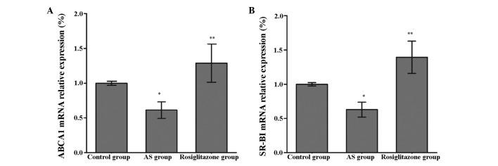 https://cdn.ncbi.nlm.nih.gov/pmc/blobs/4c90/4314417/b043cb60b130/IJMM-35-03-0715-g03.jpg