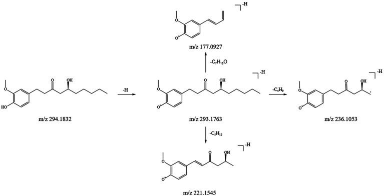 https://cdn.ncbi.nlm.nih.gov/pmc/blobs/4c93/12279505/0d2fb76644ab/fmed-12-1605372-g005.jpg