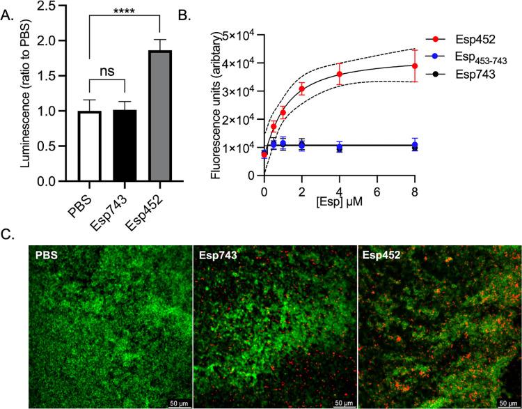 https://cdn.ncbi.nlm.nih.gov/pmc/blobs/4c93/9512215/1616e39b818f/ppat.1010829.g004.jpg
