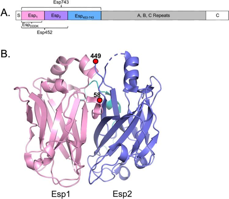 https://cdn.ncbi.nlm.nih.gov/pmc/blobs/4c93/9512215/eb4022e5038a/ppat.1010829.g001.jpg