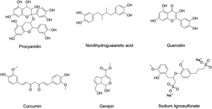https://cdn.ncbi.nlm.nih.gov/pmc/blobs/4c94/10761211/b8781d57a264/rbad098f2.jpg