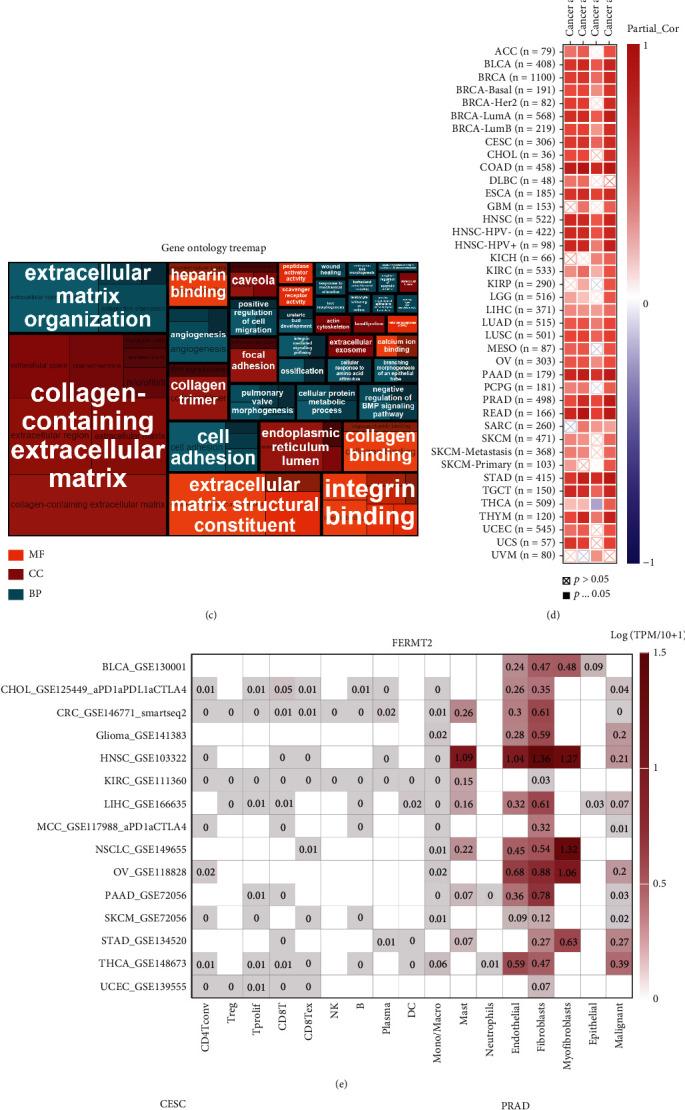 https://cdn.ncbi.nlm.nih.gov/pmc/blobs/4c95/10864055/a64e79d27607/IJG2024-4123737.002.jpg