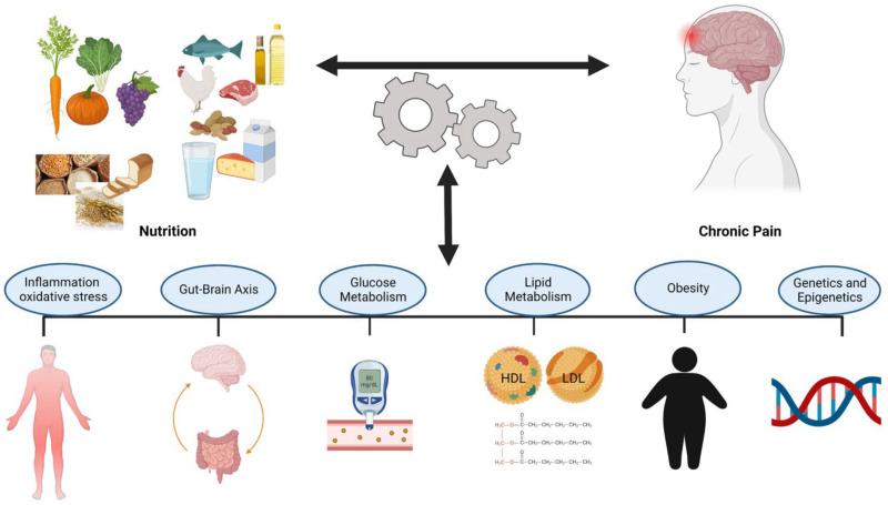 https://cdn.ncbi.nlm.nih.gov/pmc/blobs/4c95/12073121/46b2ad5dd6fa/nutrients-17-01502-g009.jpg