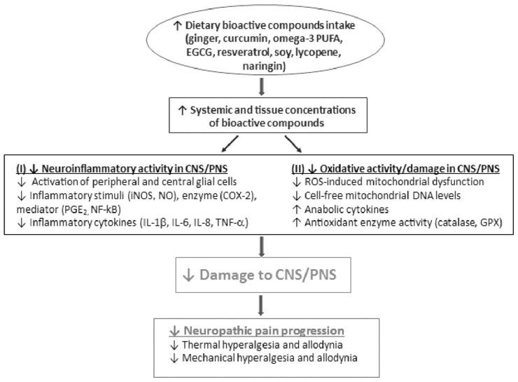 https://cdn.ncbi.nlm.nih.gov/pmc/blobs/4c95/12073121/4a25f4999552/nutrients-17-01502-g010.jpg