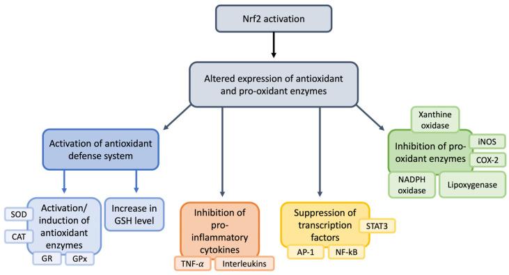 https://cdn.ncbi.nlm.nih.gov/pmc/blobs/4c95/12073121/627f23ff0296/nutrients-17-01502-g007.jpg