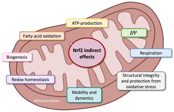 https://cdn.ncbi.nlm.nih.gov/pmc/blobs/4c95/12073121/e9db68b192c3/nutrients-17-01502-g008.jpg