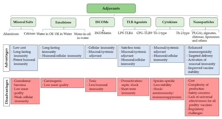 https://cdn.ncbi.nlm.nih.gov/pmc/blobs/4c96/10893217/06e1883d4b44/vaccines-12-00134-g005.jpg