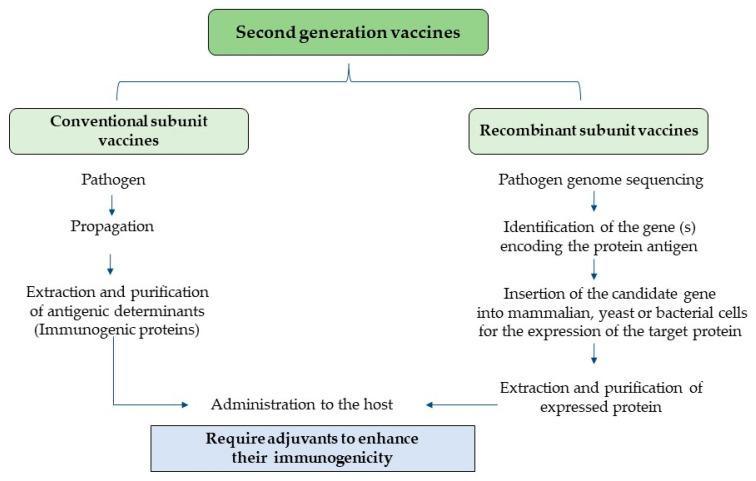 https://cdn.ncbi.nlm.nih.gov/pmc/blobs/4c96/10893217/1fce2b7029ea/vaccines-12-00134-g002.jpg